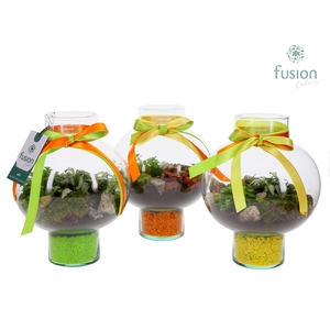 Green BottleLaura Small met Arrangement