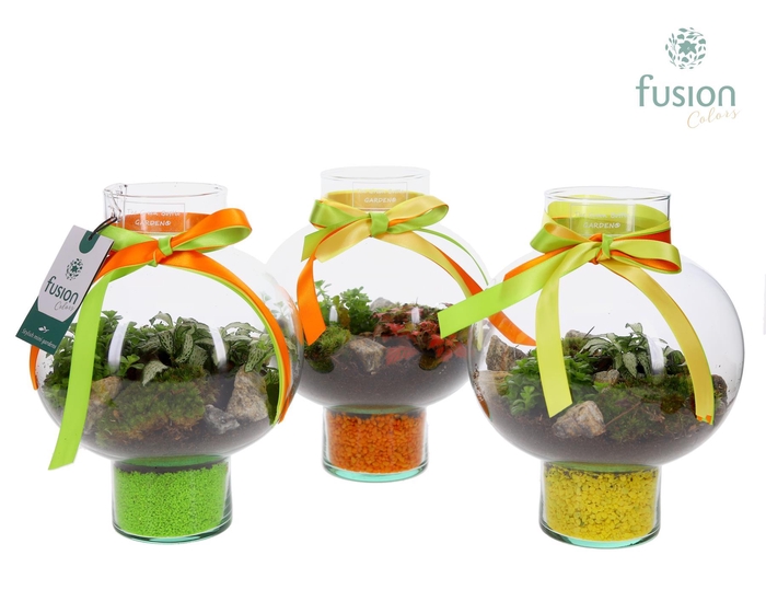 <h4>Green Bottle Laura Small met Arrangement</h4>