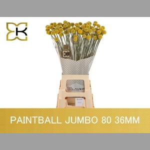 CRAS PAINTBALL JUMBO