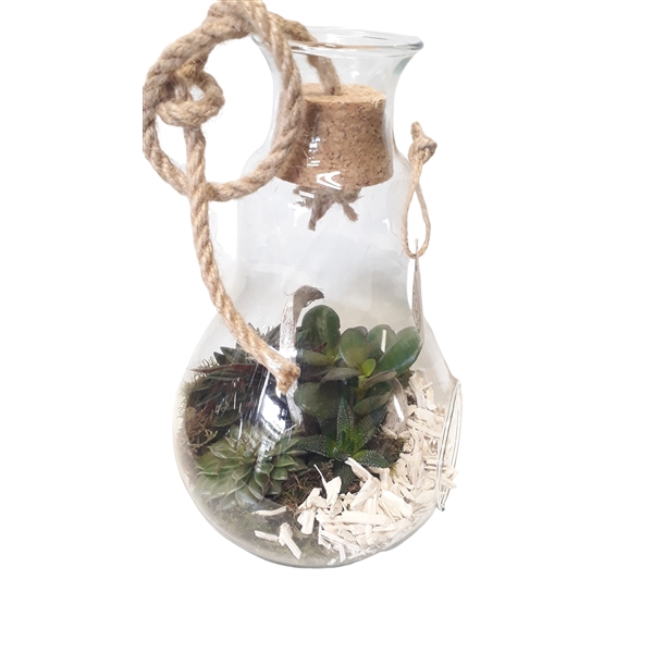 <h4>912 WHI Terrarium Peerglas white deco</h4>