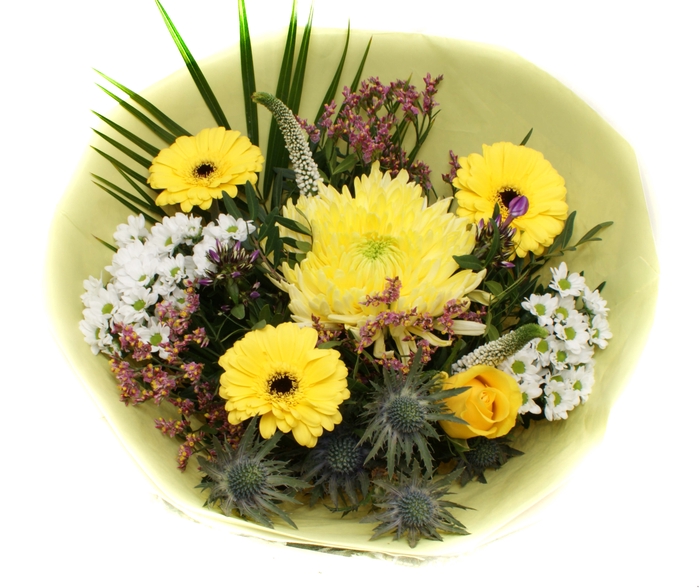 <h4>2025005 Geel</h4>