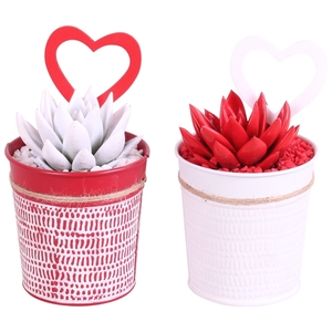 Valentine Arr. Succulent Zinc Pot Round Red/White Ø10cm 1PP