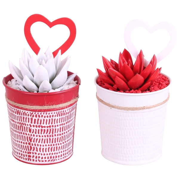 <h4>Valentine Arr. Succulent Zinc Pot Round Red/White Ø10cm 1PP</h4>