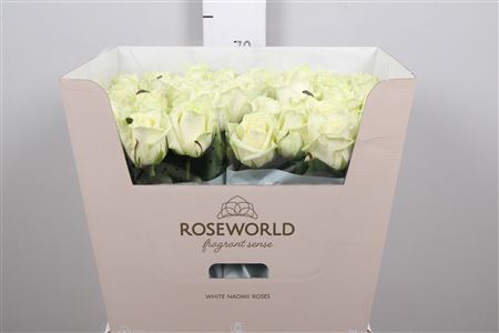 <h4>R Gr White Naomi!</h4>