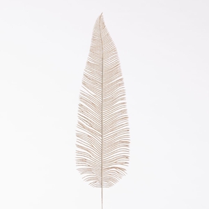 AF Fern Dried L71cm  Beige