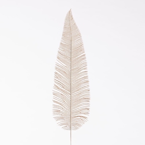 AF Fern Dried L71cm  Beige