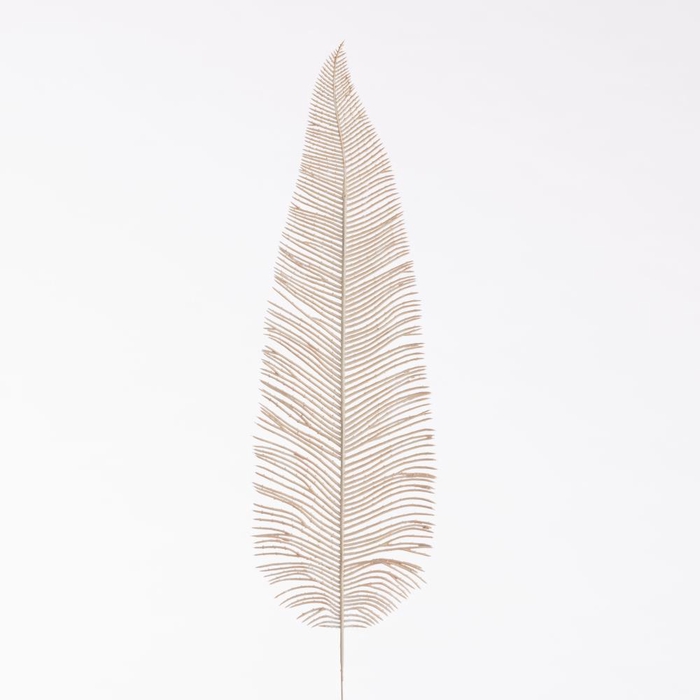 <h4>AF Fern Dried L71cm  Beige</h4>