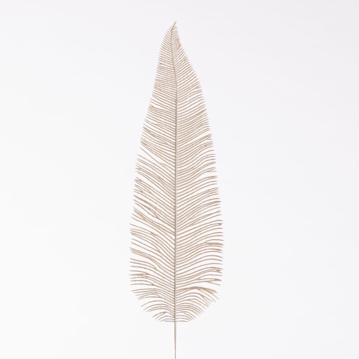 <h4>AF Fern Dried L71cm  Beige</h4>