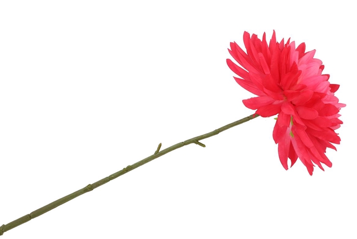 Silk Dahlia Pointy Red 65cm Nm