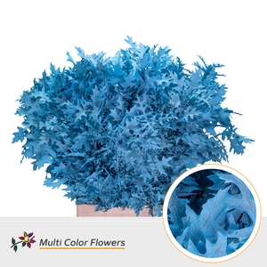 Eik Grof Frost Blauw Licht