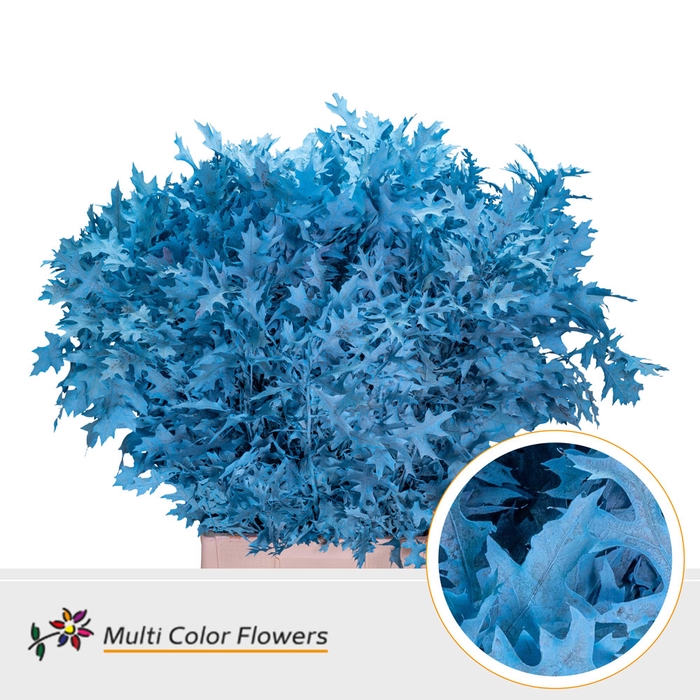 <h4>Eik Grof (80 cm) Frost Blauw licht</h4>