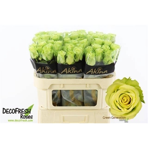 R Gr Green Generatio