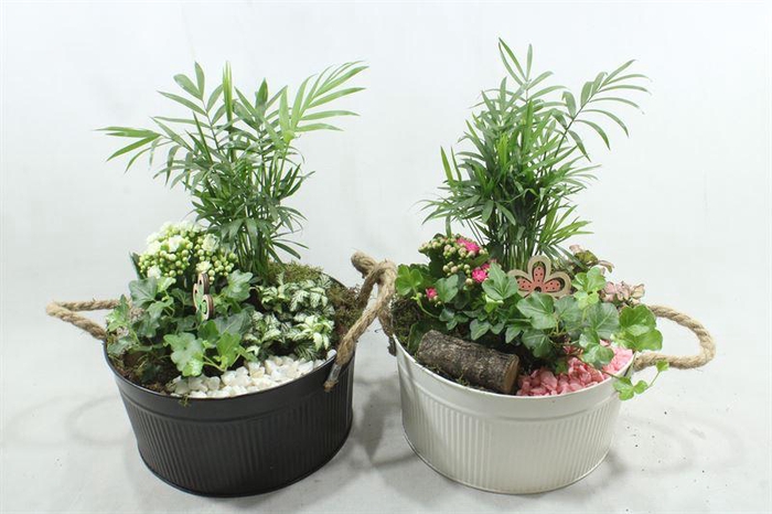<h4>JA584 X3 ZINK ZWART/WIT</h4>