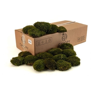 Mood Moss Gepreserveerd Bulk ca. 0,8 m2