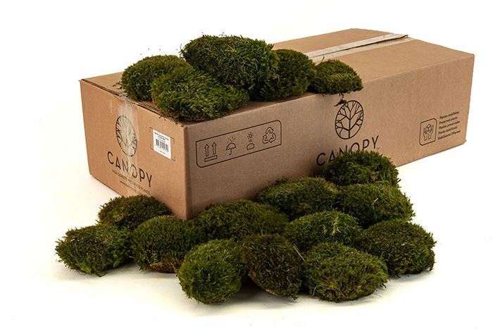 Mood Moss Gepreserveerd Bulk ca. 0,8 m2