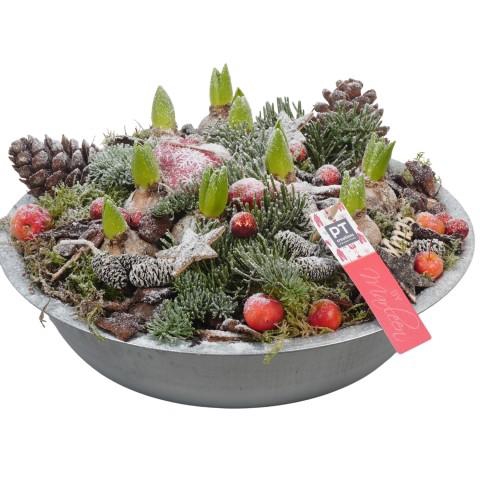 <h4>PTHCH6760 Arrangementen Hyacinthus</h4>