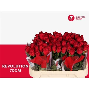 R Gr Revolution