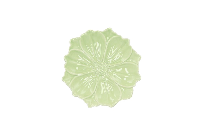 Bloom Cosmea Plate Green 11x11x3cm