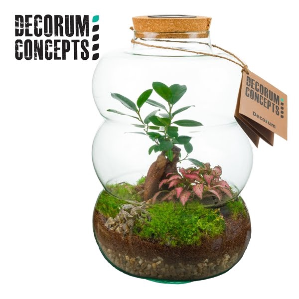 Terrarium Pluto large (Decorum concepts)