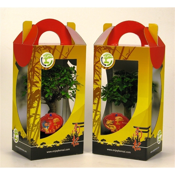 <h4>Bonsai mix in chinese giftbox 15 cm : Chinese New Year with dragon etiket</h4>