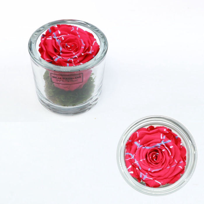 <h4>Cilinder d9x8h fuchsia festival glas</h4>