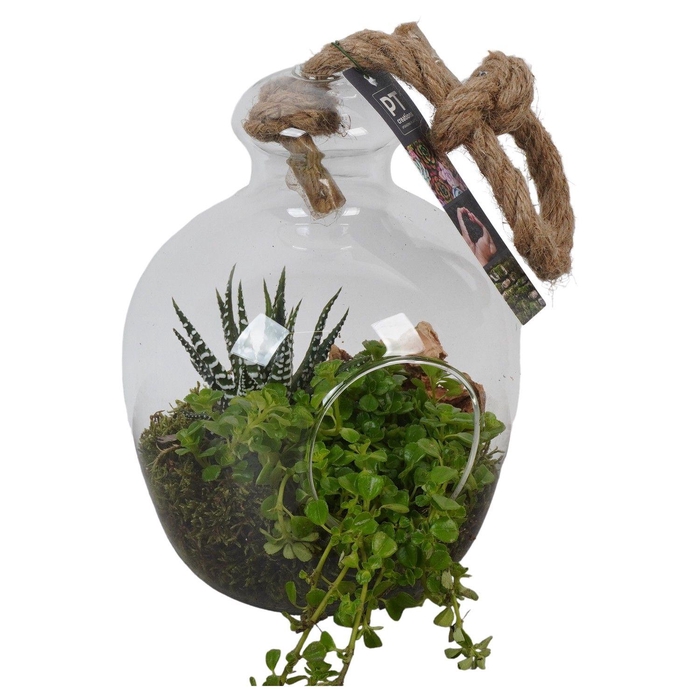 <h4>PTGIG2107 Arrangement Greens in glass in glazen terrarium</h4>