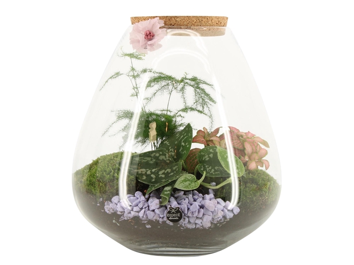 <h4>21951: Contradiction terrarium</h4>