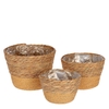 Basket sets Fuse pot S/3 d21*16cm