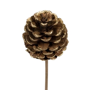 Pine C 5/7 O/s Gold Tip