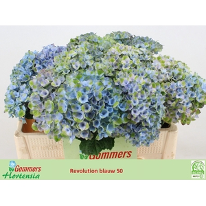 HYDR M MAG REVOLU BL