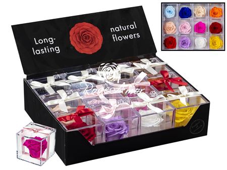 Display Gb14 Assorted