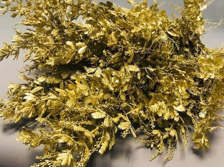 <h4>Mimosa Painted $Luxury Gold</h4>