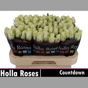 R Gr Countdown