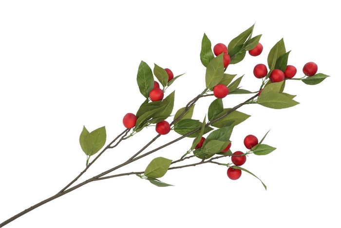 <h4>Silk Apple Plum Claude Red 90cm Nm</h4>