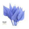 Dried Palm Spear Small Milka