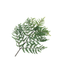 Fern Leather Branch Green