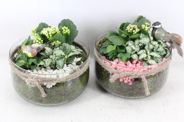 Arr2 Pl - Glas Bose Touw X3 - Roze/wit