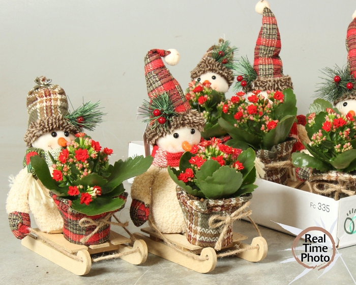 <h4>Arr Kamerpl</h4>