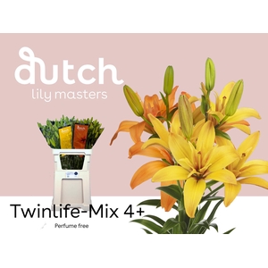 LI LA TWINLIFE MIX 4+
