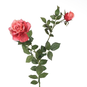 AF Rosa x2 L102cm Pink