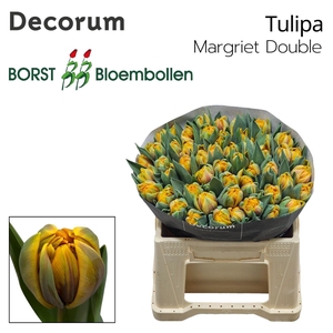 TU DU MARGRIET DOUBLE