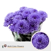 Chr T Altaj Milka