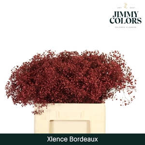 Gyps xlence L60 Bordeaux