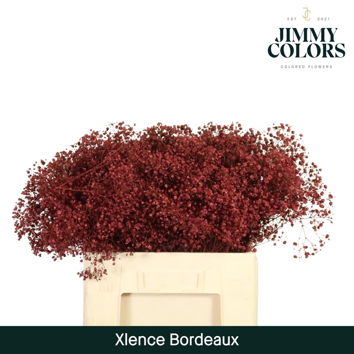 <h4>Gyps Xlence L60 Bordeaux</h4>