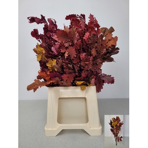 GESTABILISEERD EIK MIX HERFST