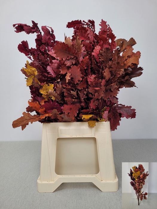 <h4>GESTABILISEERD EIK MIX HERFST</h4>