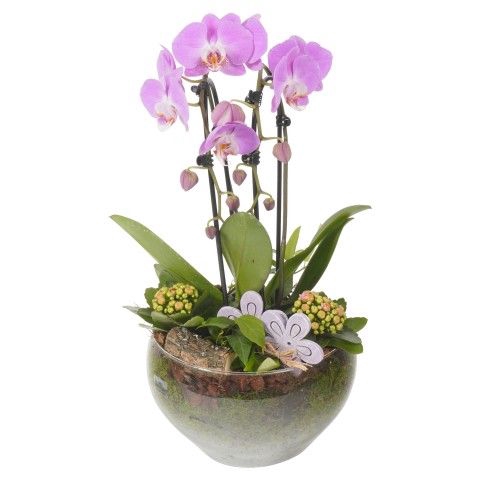<h4>Opm Pt CC232 Indoor Glas Rond</h4>