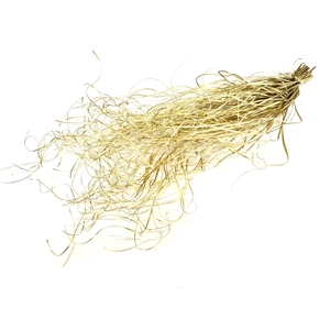 Beargrass dried per bunch Gold