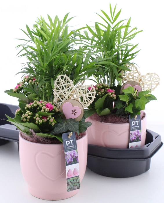 <h4>ARR KAMERPL</h4>