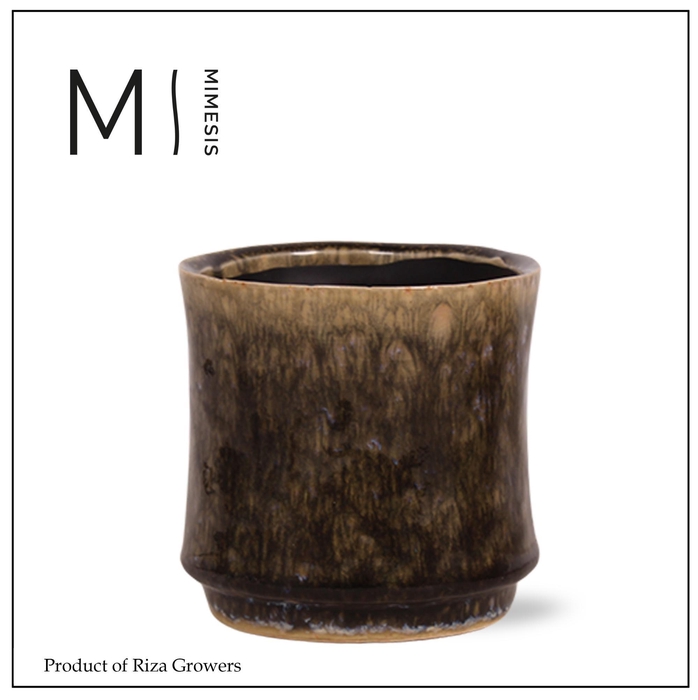 <h4>Pottery Ceramic Nolan Pine - 17cm | Mimesis</h4>